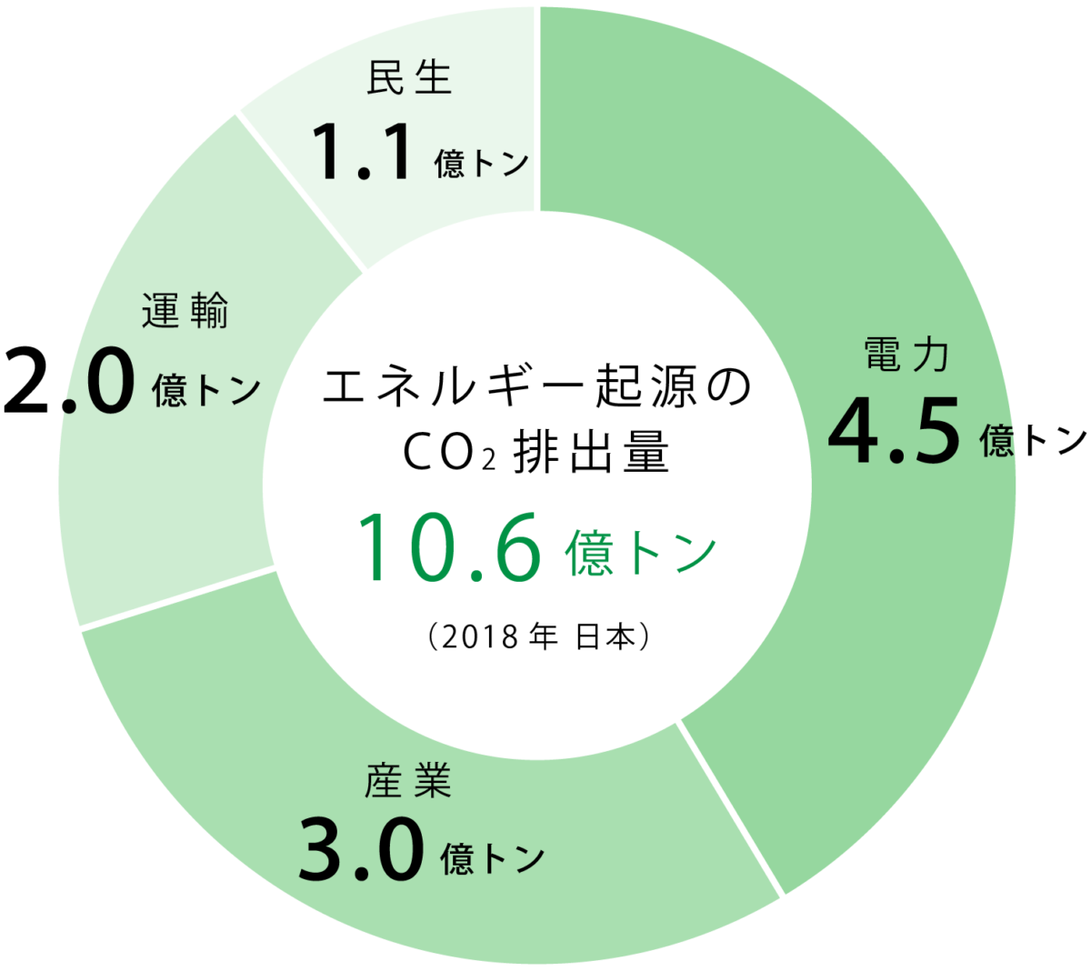 骨格 診断 3d