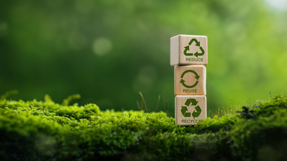 ポリ乳酸とは?バイオマスプラスチックとしての基礎知識