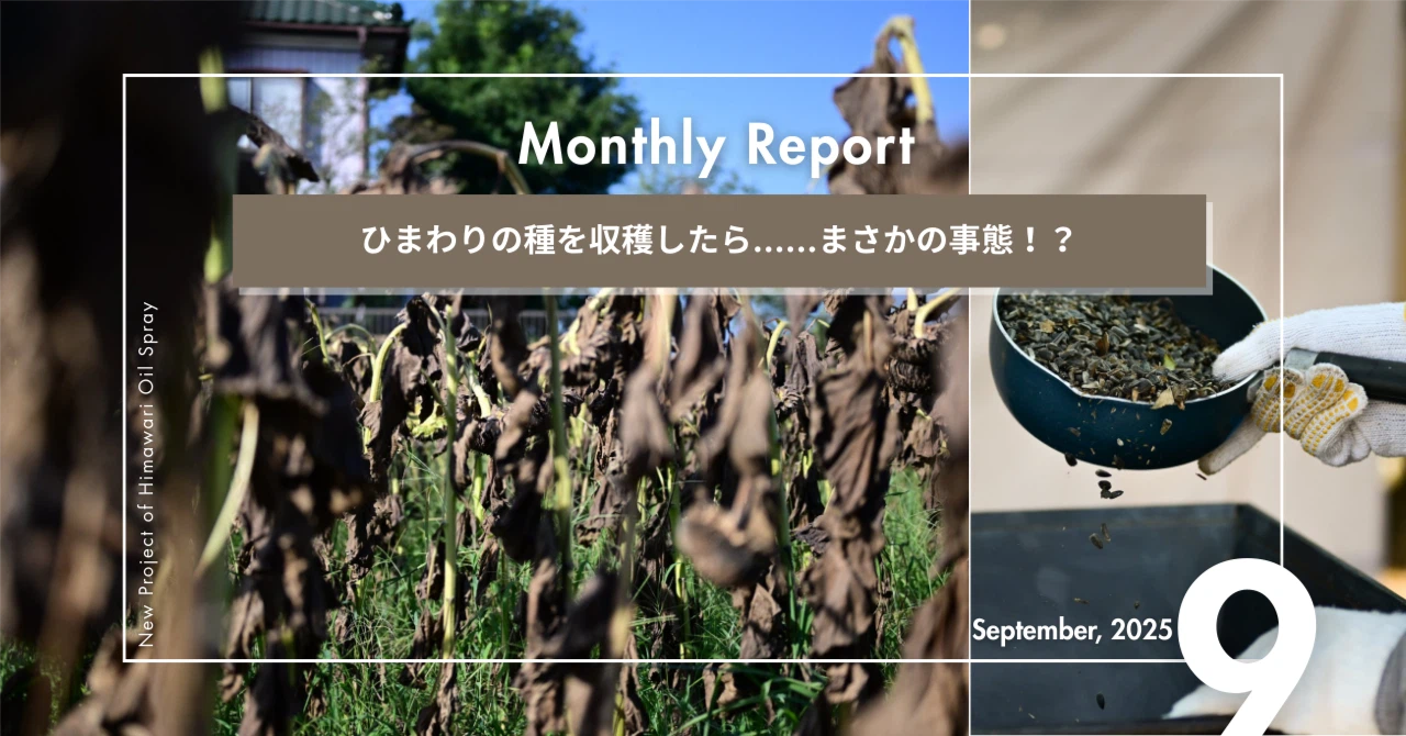 ひまわりの種を収穫したら……まさかの事態！？
